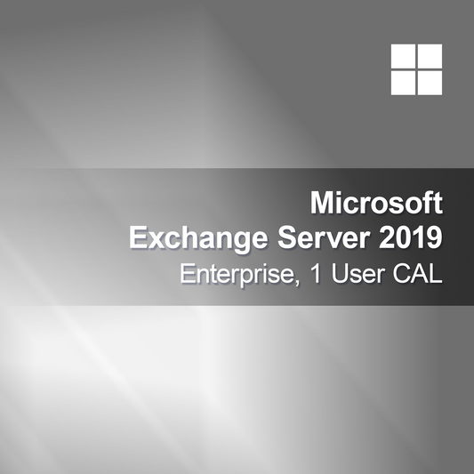 Microsoft Exchange Server 2019 Enterprise, 1 användar-CAL